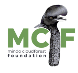 mindocloudforest.org