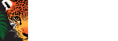 Rainforest Trust Logo